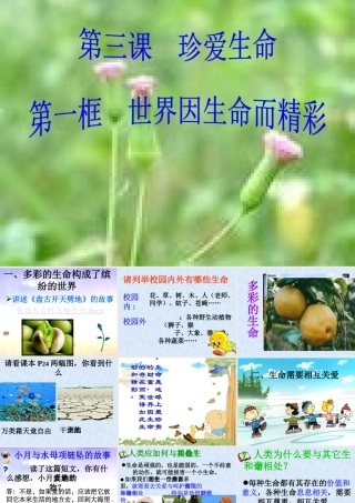 世界因生命而精彩-新人教