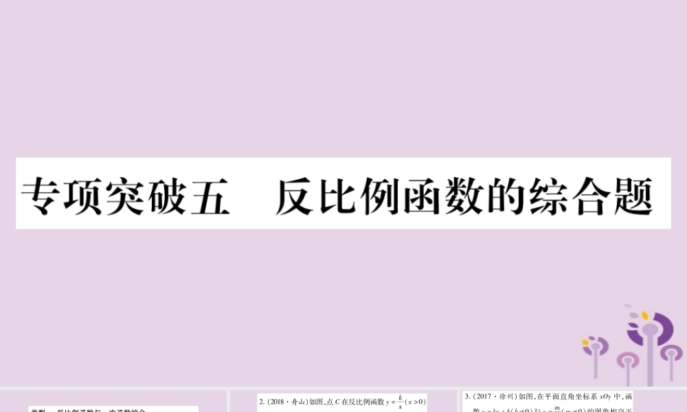 中考数学复习 第二轮 中档题突破 专项突破5 反比例函数的综合题习题课件