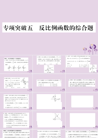 中考数学复习 第二轮 中档题突破 专项突破5 反比例函数的综合题习题课件