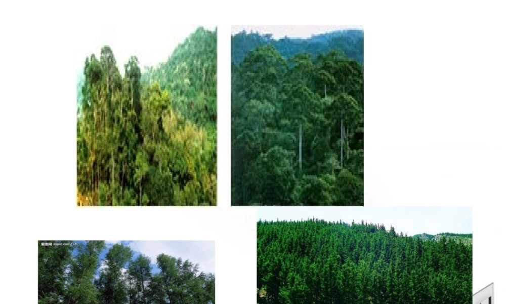 八年级生物下册 第一章第一节生态系统的组成课件 济南版 课件