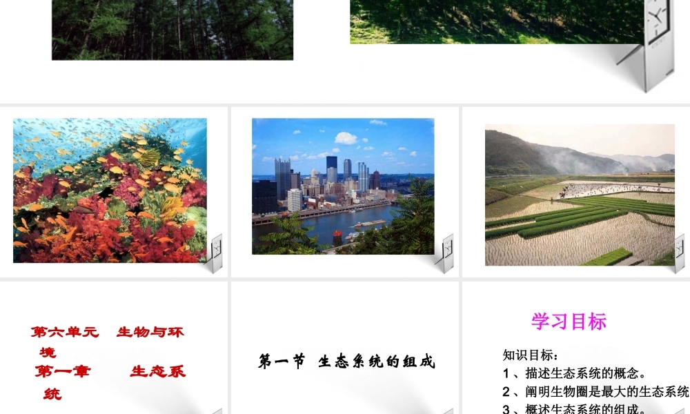 八年级生物下册 第一章第一节生态系统的组成课件 济南版 课件