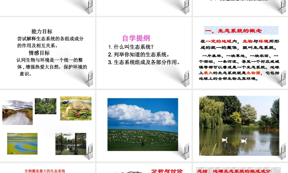 八年级生物下册 第一章第一节生态系统的组成课件 济南版 课件