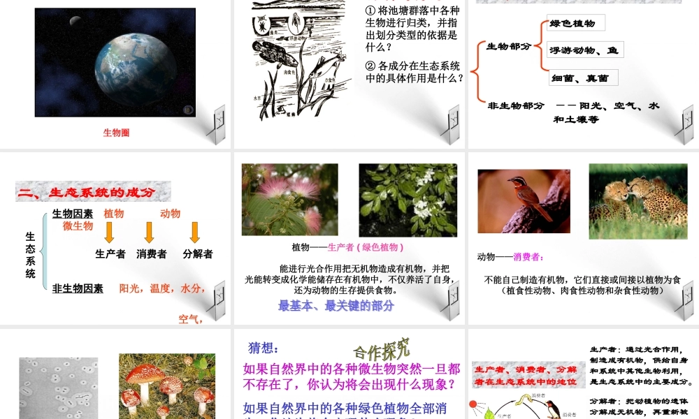 八年级生物下册 第一章第一节生态系统的组成课件 济南版 课件