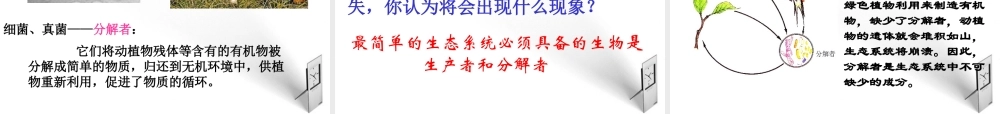 八年级生物下册 第一章第一节生态系统的组成课件 济南版 课件