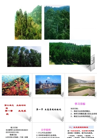 八年级生物下册 第一章第一节生态系统的组成课件 济南版 课件