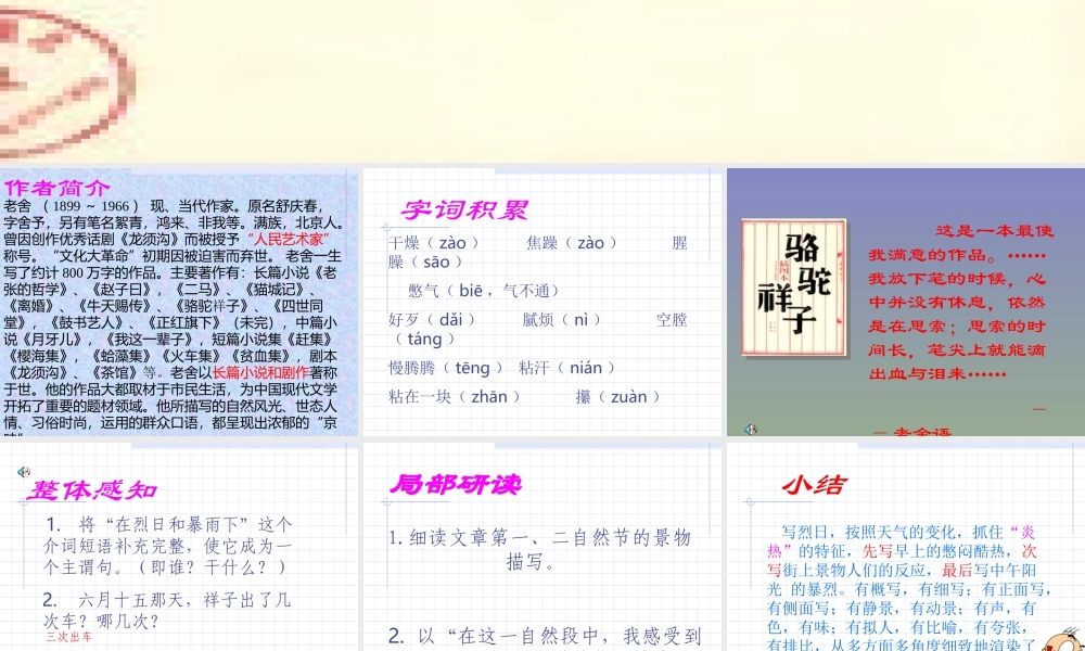 九年级语文上册在烈日和暴雨下3 ppt 课件