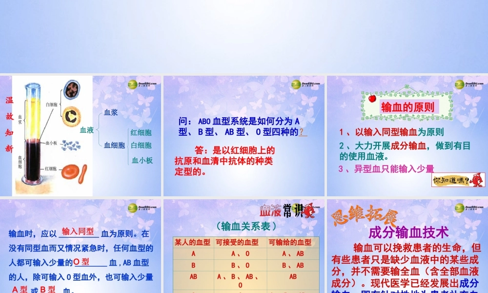 八年级生物上册 第四章 输血与血型课件 鲁科版 课件