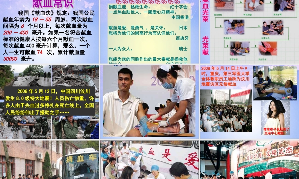 八年级生物上册 第四章 输血与血型课件 鲁科版 课件