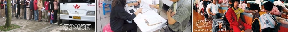 八年级生物上册 第四章 输血与血型课件 鲁科版 课件