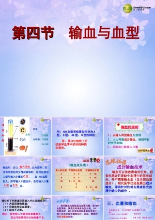 八年级生物上册 第四章 输血与血型课件 鲁科版 课件