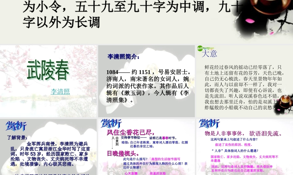 八年级语文下册(武陵春)课件1 鲁教版 课件