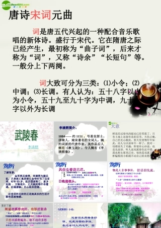 八年级语文下册(武陵春)课件1 鲁教版 课件