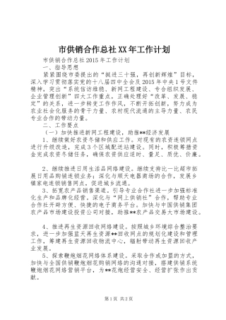 市供销合作总社XX年工作计划