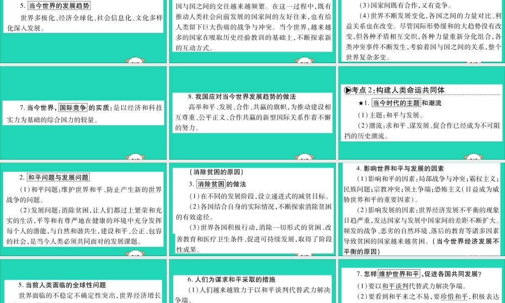 宁夏中考道德与法治考点复习 第二篇 第一板块 国情部分 第9课时 世界舞台上的中国课件