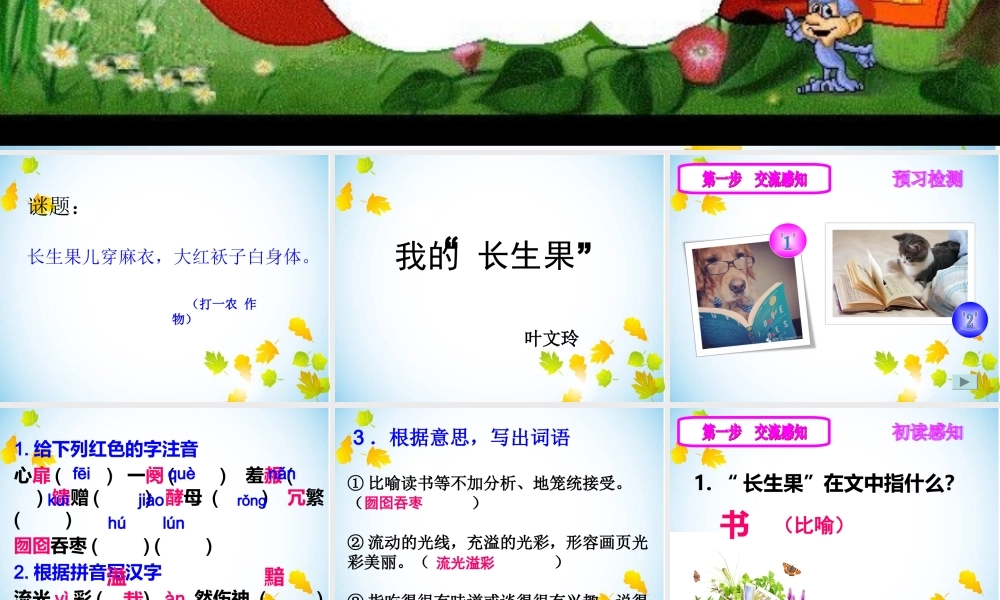 我的“长生果”.