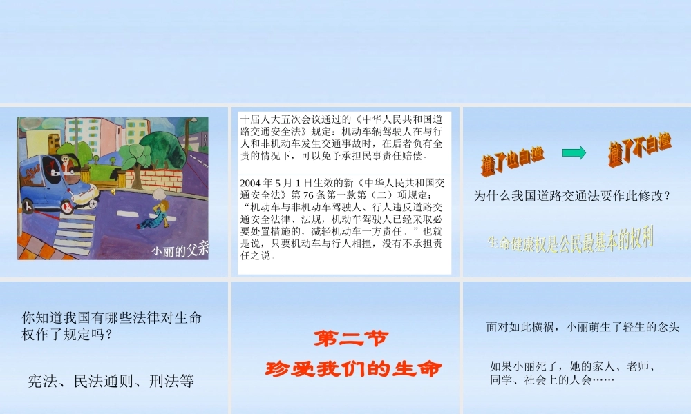 八年级政治上册 珍爱自己的生命和尊重他人生命课件 湘教版 课件