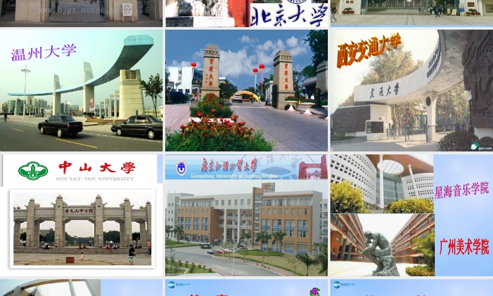 中学主题班会(放飞理想 展翅飞翔)课件