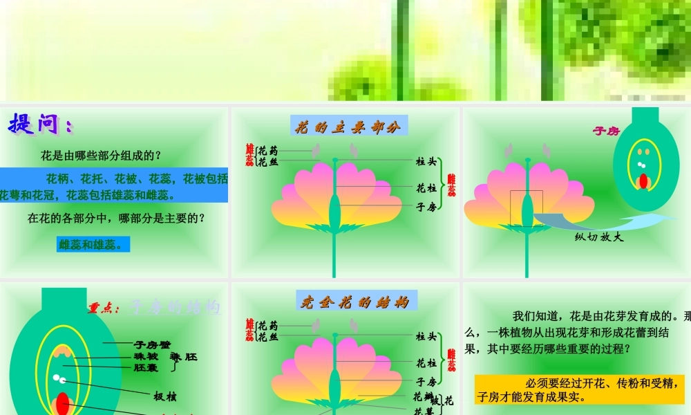 八年级生物 第一节 植物的生殖课件 新课标 人教版 课件