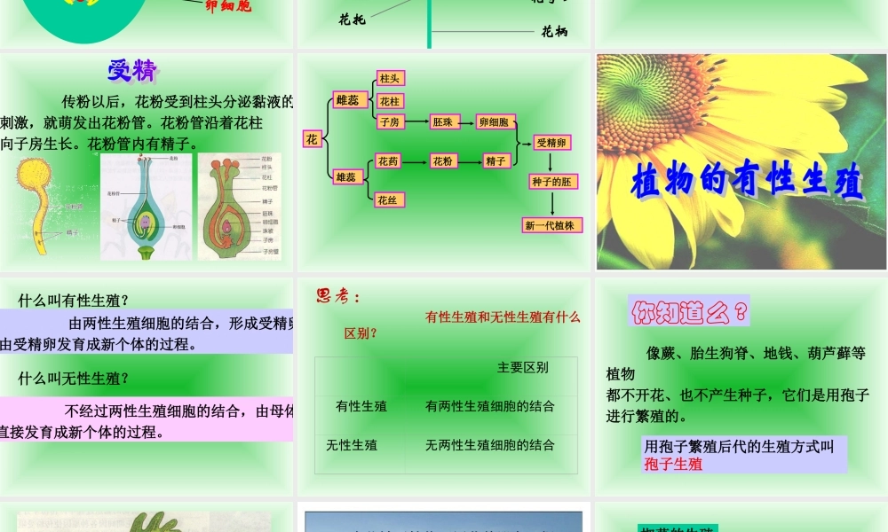 八年级生物 第一节 植物的生殖课件 新课标 人教版 课件