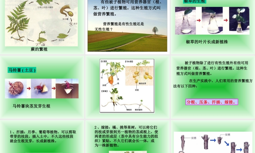 八年级生物 第一节 植物的生殖课件 新课标 人教版 课件
