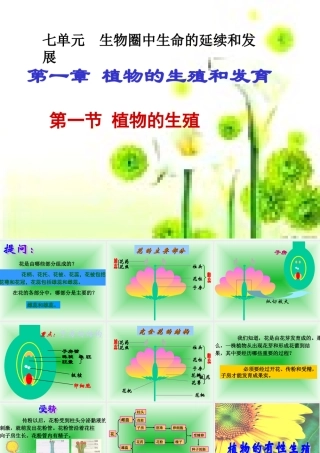 八年级生物 第一节 植物的生殖课件 新课标 人教版 课件