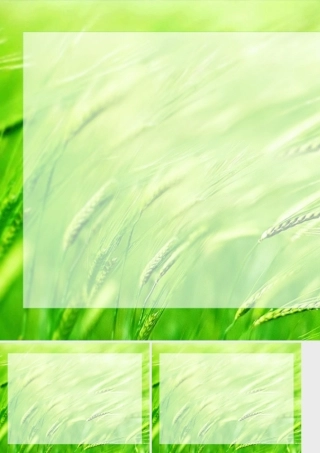 PPT动态模板：草原黑白到彩色渐变动态