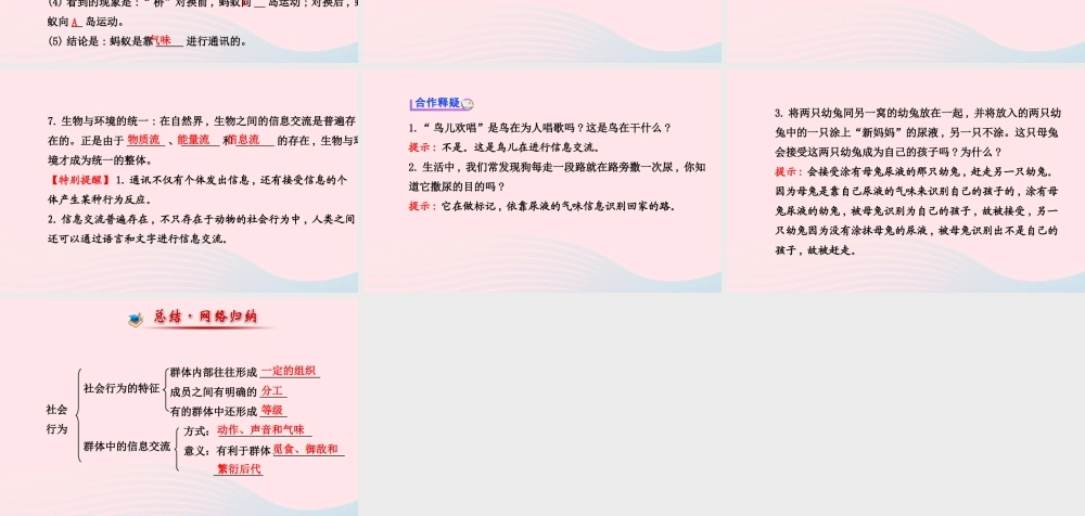 八年级生物上册 第五单元 第二章 第三节 社会行为课件 (新版)新人教版