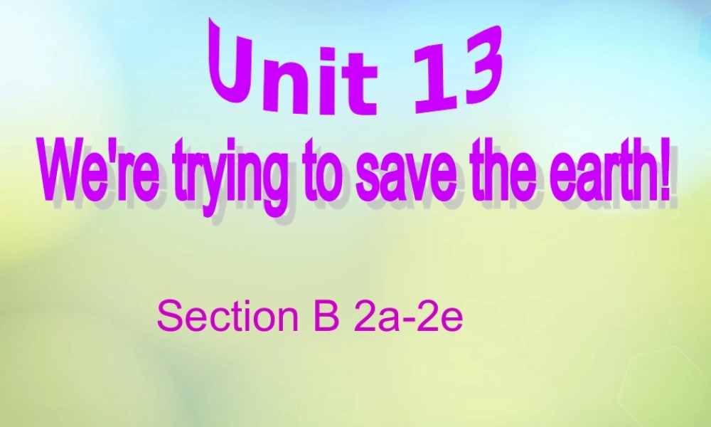 九年级英语全册(Unit 13 We are trying to save the earth Section B(2a 2e))课件 (新版)人教新目标版 课件