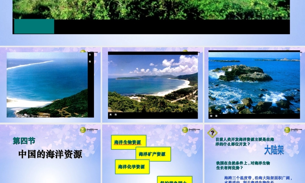 八年级地理上册 第四节 中国的海洋资源(第1课时)课件 湘教版 课件