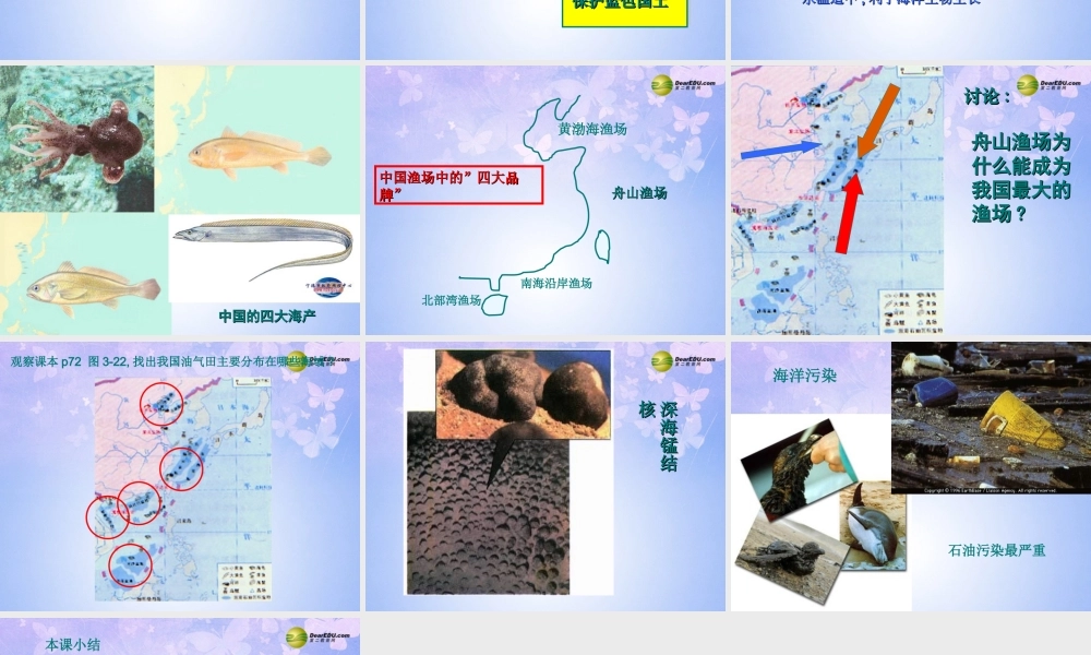 八年级地理上册 第四节 中国的海洋资源(第1课时)课件 湘教版 课件