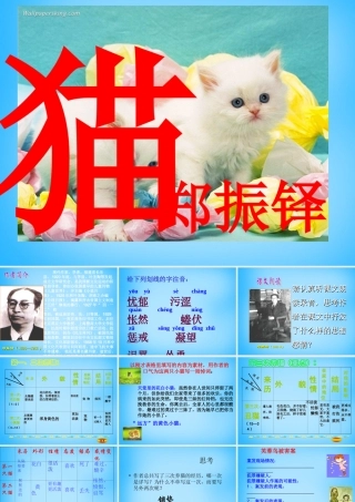 中学七年级语文下册 6.26 猫课件 新人教版