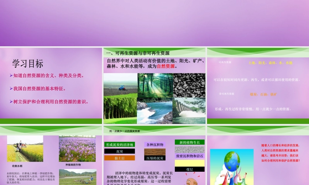 八年级地理上册 3.1(自然资源的基本特征)要点探究课件 新人教版 课件