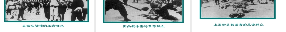 八年级历史上册 第14课(国民革命的洪流))课件  北师大版 课件