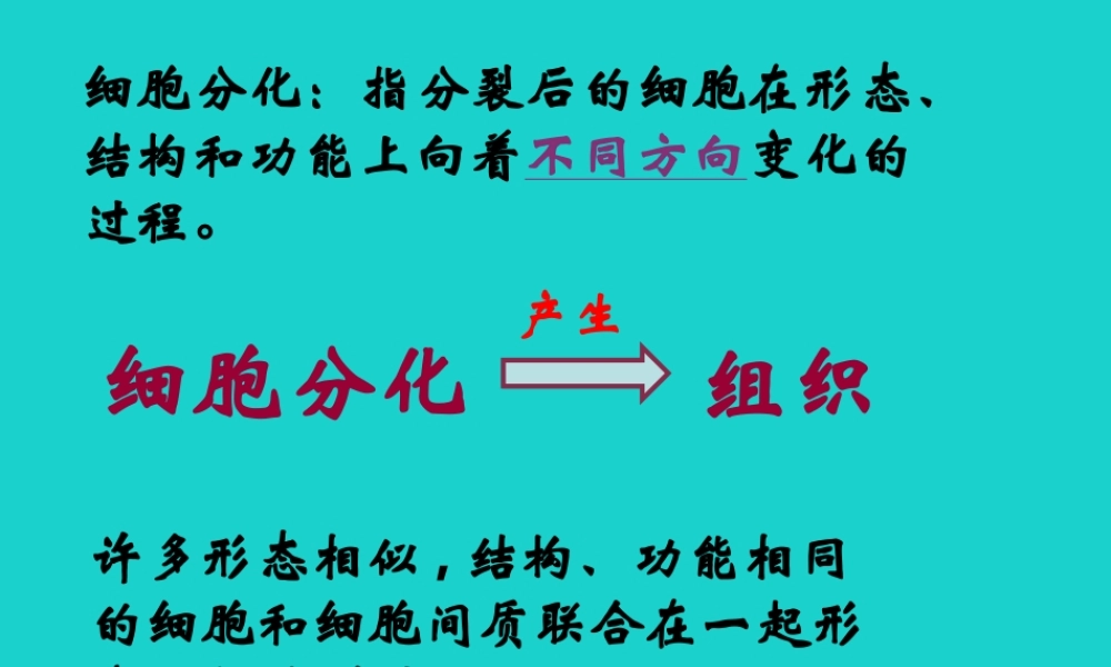 七年级生物上册 第二单元 第三章 第3节 细胞通过分裂而增殖 细胞分化与组织形成课件 北师大版 课件