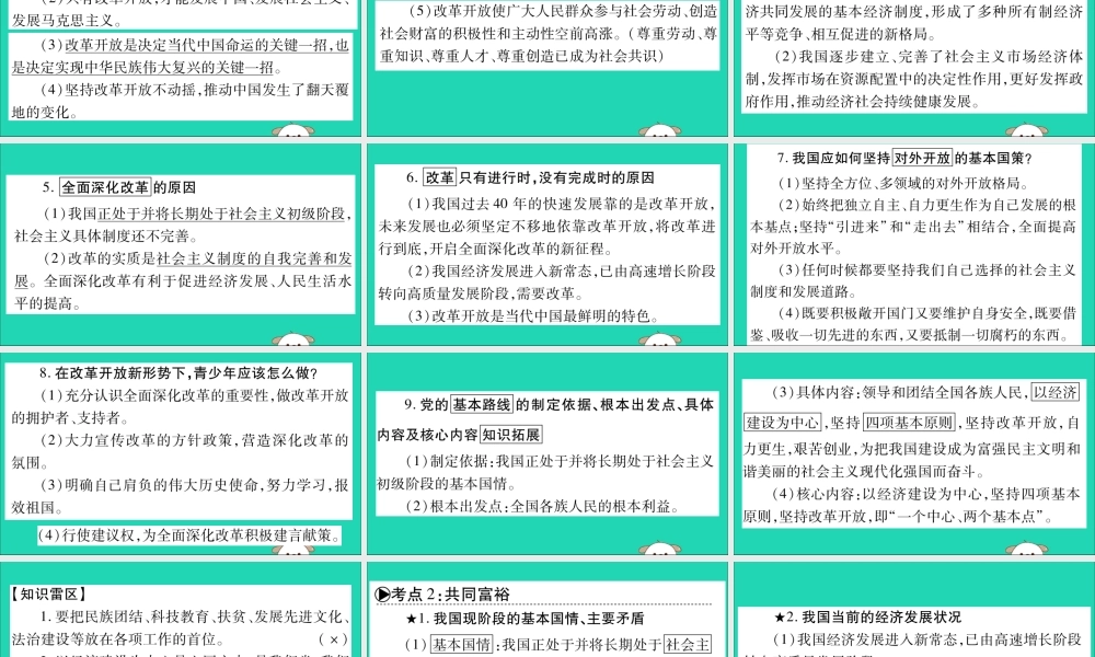 宁夏中考道德与法治考点复习 第二篇 第一板块 国情部分 第4课时 改革开放 共同富裕课件