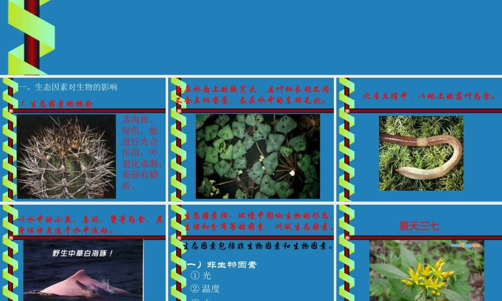 七年级生物生物与环境的相互关系课件2 新课标 人教版 课件