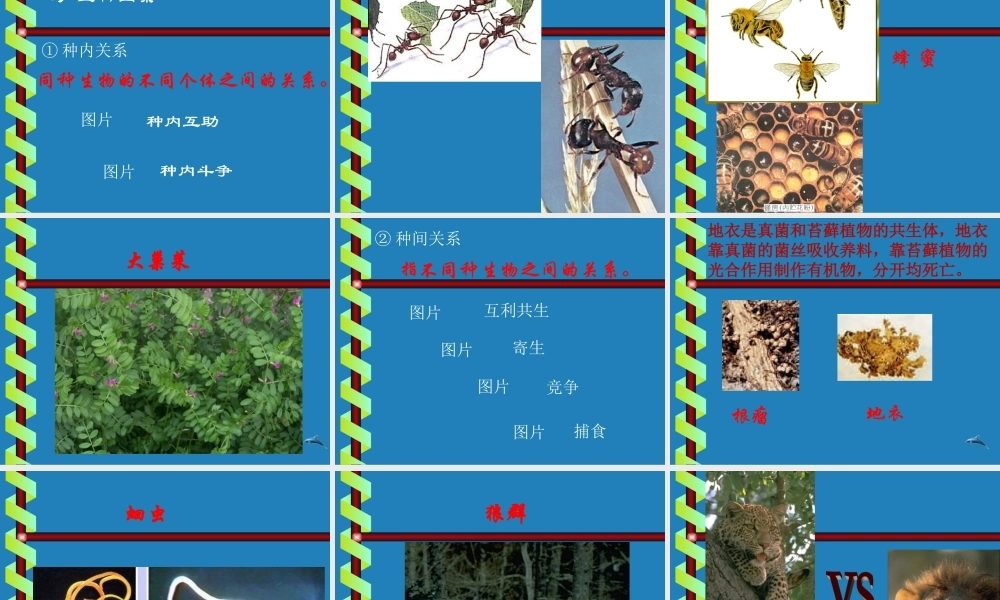 七年级生物生物与环境的相互关系课件2 新课标 人教版 课件