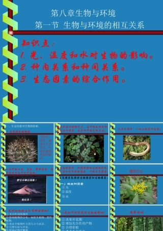 七年级生物生物与环境的相互关系课件2 新课标 人教版 课件