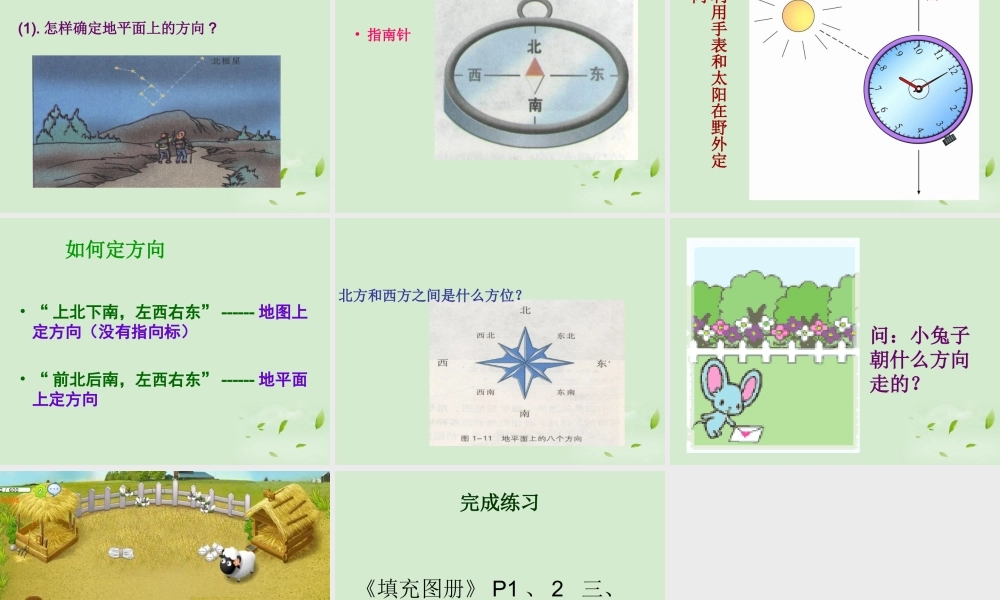 中学七年级地理(我们怎样学地理1)课件  课件