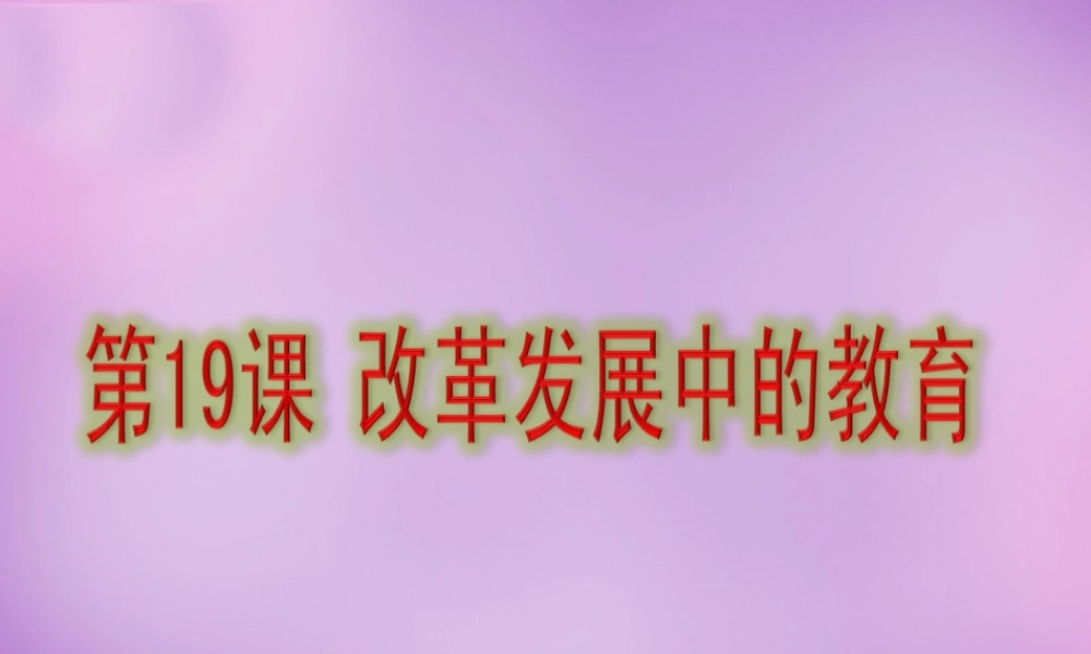 八年级历史下册 第19课 改革发展中教育课件 新人教版 课件