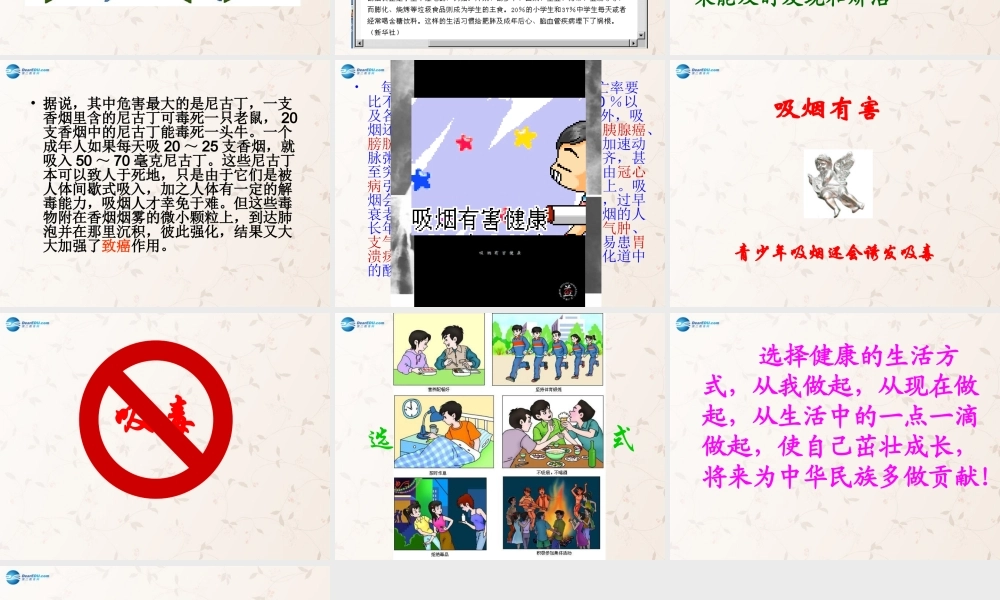 八年级生物下册 8.3.2 选择健康的生活方式课件1 (新版)新人教版 课件