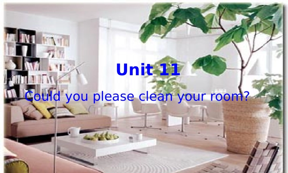 八年级英语 Unit11 Could you please clean your room课件