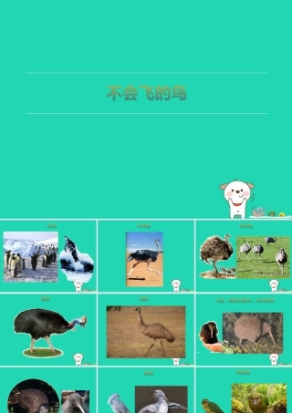 七年级生物上册 2.2.2(脊椎动物的主要类群)资料拓展：不会飞的鸟素材 (新版)济南版 素材