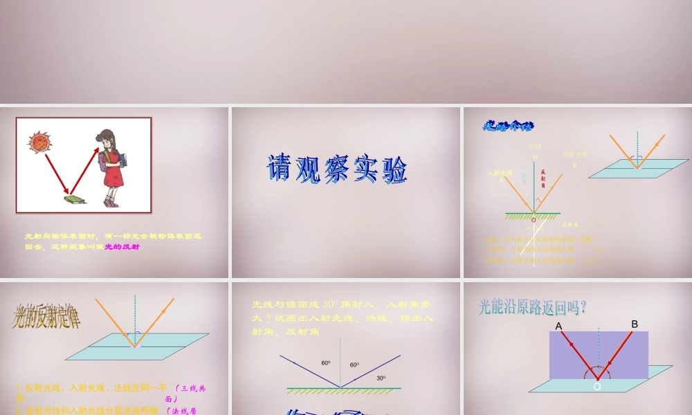 八年级物理全册 4.1 光的反射课件 (新版)沪科版 课件