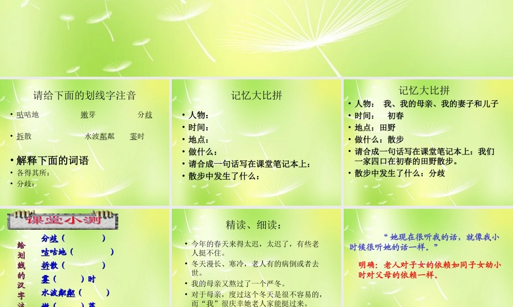 中学七年级语文上册 1 散步课件 (新版)新人教版