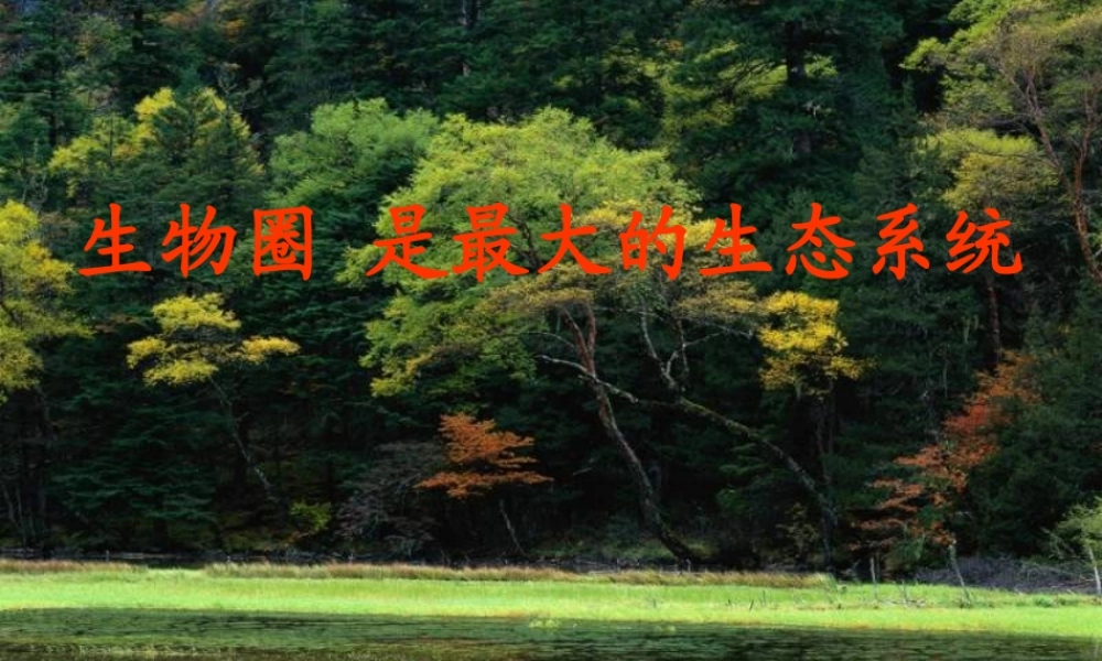 七年级生物上册 生物圈是最大的生态系统课件 人教版 课件