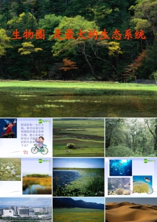 七年级生物上册 生物圈是最大的生态系统课件 人教版 课件