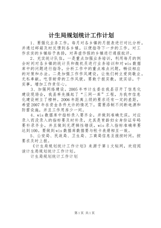 计生局规划统计工作计划