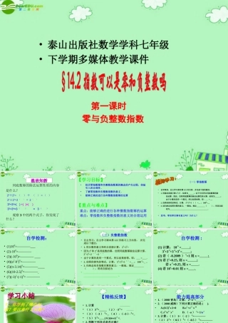 七年级数学下册 14.2.1指数可以为零和负数吗？课件 人教新课标版 课件