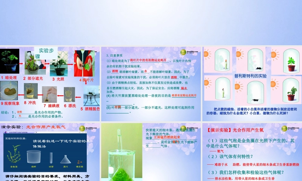 七年级生物上册 光合作用(第二课时)课件 济南版 课件